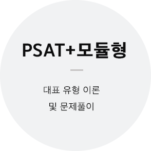 PSAT+모듈형 대표 유형 이론 및 문제풀이